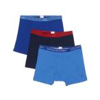 ポロ Polo メンズ ボクサーパンツ インナー・下着 3 boxer briefs Blue/Royal/Red