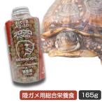 爬虫類 フード ジクラアギト JOJOフ