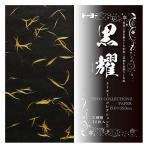 トーヨー 黒耀 トーヨーコレクション 2 010635 文具 文房具 学用品 縁日 景品 問屋 お祭り 子供 おもちゃ 祭り 縁日用品 屋台 イベント