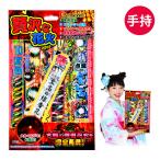 贅沢な花火 2 花火セット 手持花火 手持ち花火 手持ち 花火 セット 縁日 景品 問屋 お祭り 子供 おもちゃ 祭り 縁日用品 屋台 イベント
