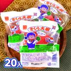 遠藤食品株式会社 さくら大根 45g(約20個装入) 駄菓子 お菓子 おかし 賞味期限2025年10月31日 縁日 景品 問屋 お祭り 子供