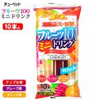 フルーツ100 ミニドリンク 10本入 駄菓子 お菓子 おかし 縁日 景品 問屋 お祭り 子供 おもちゃ 祭り 縁日用品 屋台 イベント