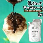 {かき氷シロップ 天然}チョコレート 600g 果実感たっぷり ほんものの味 生シロップ カキ氷 シロップ 氷みつ