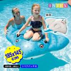 ショッピングうきわ インテックス スティングレイ ライドオン フロート 57576 1．85mx1．45m INTEX プール うきわ 浮輪 送料無料 縁日 景品 問屋 お祭り 子供