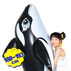 インテックス フロート シャチ ブラック ホエールライドオン 58561 幅193x高さ119cm INTEX プール うきわ 浮輪 送料無料 縁日 景品 問屋 お祭り 子供