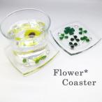 押し花コースター／アクリルコースター／花／テーブルウェア／フラワー／デルフィニウム　クローバー　バーベナ　ヒマワリ　コスモス　ノースポール　赤バラ