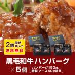 ショッピングハンバーグ 爆弾ハンバーグ フライングガーデン ギフト プレゼント 贈り物 お取り寄せ 簡単調理 黒毛和牛ハンバーグ ペアセット (150g×5個入)×2箱