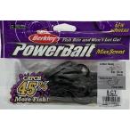 バークレイ クリッターホッグ 4インチ ブラック パワーベイト マックスセント Berkley Power Bait