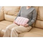 湯たんぽ 蓄熱式 充電式 電気湯たんぽ 冷え性 手先の冷え 就寝時 オフィスワーク 繰り返し使用 血流改善 蓄熱式湯たんぽふわんぽ クリスマスプレゼント お歳暮