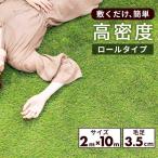 人工芝 ロール 2x10m 送料無料 芝生マット 人工芝生 芝生 ロールタイプ 庭 DIY 屋上緑化 水はけ ガーデン