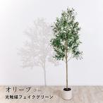 オリーブ フェイクグリーン 光触媒フェイクグリーン 観葉植物 造花 人工観葉植物 リアル 水やり不要 枯れない 本物そっくり 光触媒 大型 おしゃれ ナチュラル