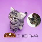猫ぬいぐるみ「ちびにゃ」オーダーメイド　【受注制作】