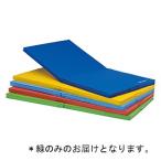 法人限定 トーエイライト 体操マット 屋内外兼用マットF 緑 T-1961G  送料ランク:(39) (TOL) (Q41CD)