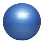  фитбол safety -55cm HATAS фитбол баланс тренировка ( DB55 / HAS ) (Q41CD)