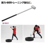  Dan no.. завод NO железный Hammer 7 D7017 стоимость доставки разряд (FF) (DAN) (Q41CD)