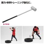  Dan no.. завод NO железный Hammer 10 D7018 стоимость доставки разряд (FF) (DAN) (Q41CD)