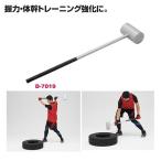  Dan no.. завод NO железный Hammer 15 D7019 стоимость доставки разряд (FF) (DAN) (Q41CD)