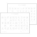 水書紙 ひらがな練習 かたかな練習 12015 ひらがな・かたかな練習水書紙 (AC) (Q41CD)