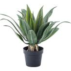 フェイクグリーン 人工観葉植物 アガベ GRN-14 フェイクグリーン アガベ グリーン (AZM) (Q41CD)