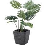 植木鉢 おしゃれ グリーンベース 観葉植物入れ GRNB-200 グリーンベース ダークグレー (AZM) (Q41CD)