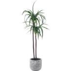 植木鉢 おしゃれ グリーンベース 観葉植物入れ GRNB-203 グリーンベース グレー (AZM) (Q41CD)