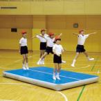 エアーマット 運動マット エアマット ETE211 エアートラックマット 300 送料ランク(C)  ...