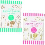 保冷剤 セット 保冷剤 お弁当 D-2327 ホームレーベル ランチボックス用保冷剤2P (AP) (Q41CD)