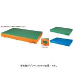マット エバーマット 屋内外兼用 F1732G エバーマット（屋内外兼用） グリーン  送料ランク:(別) (NKJ) (Q41CD)