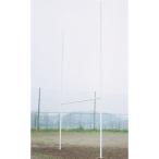  гол регби гол aluminium B-450 aluminium регби гол стоимость доставки [. предварительный расчет ] (AKB)