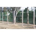  железный стержень высота железный стержень нержавеющая сталь S-31-1 нержавеющая сталь высота железный стержень дополнение раздел стоимость доставки [. предварительный расчет ] (AKB)