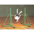  железный стержень низкий железный стержень перемещение тип A-34 перемещение тип низкий железный стержень стоимость доставки [. предварительный расчет ] (AKB)