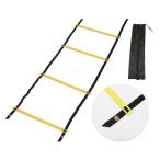  лестница тренировочная лестница A-521 тренировочная лестница одиночный 7m стоимость доставки разряд [7] (AKB)