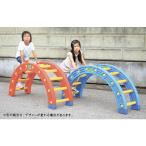  оснащение для игровой площадки в среднем шт. парк C-103 мульти- в среднем шт. стоимость доставки разряд [31] (AKB)