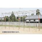  оснащение для игровой площадки рукоятка tou палка 20 человек S-98 нержавеющая сталь Y type рукоятка tou палка стоимость доставки [. предварительный расчет ] (AKB)