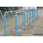  оснащение для игровой площадки flat line палка парк A-396 flat line палка первый раздел стоимость доставки [. предварительный расчет ] (AKB)