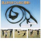  обратный израсходованный тормозные колодки D-249 стоимость доставки разряд (A) (DAN) (Q41CD)