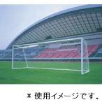  сеть соревнование для в общем сетка для ворот 150 белый D-6700W стоимость доставки разряд (E) (DAN) (Q41CD)