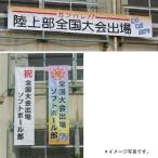 垂れ幕 DANNO（淡野）垂れ幕 垂れ幕（カラー印刷付） 45×180 D4971 特殊送料(ランク：C) (DAN) (Q41CD)