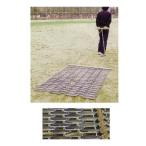 ランニングマット2連 D-3186  送料ランク(K) (DAN) (Q41CD)