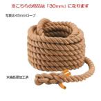 .. трос 30mm JS83160/EKA412 классификация : движение .Q41CD стоимость доставки разряд (B) (ENW) (Q41CD)