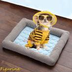  кошка bed собака домашнее животное bed домашнее животное bed / синий цвет зима диван кошка собака домашнее животное bed купол house голубой зима модный симпатичный кошка 