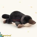 �J���m�n�V ���A���ʂ������ ������ �����̂͂� �D������� �傫���T�C�Y ���� �{���������� �������� �����܂��� �V�~�����[�V����