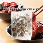 梅屋 紀州調味梅干(個包装) 40粒×2個 梅干し うめぼし 塩分補給 はちみつ 大容量
