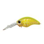 EVERGREEN Go[O[ EG Chn` 8tb^[ 60mm tbV`[gyoXz