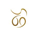 START start スタート タイラバ・スタ�