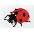 刺繍アイロンワッペン昆虫（てんとう虫／テントウムシ）