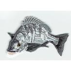  вышивка утюг нашивка рыба ( морской лещ / Kuroda i/ чёрный морской лещ )