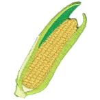 ショッピングとうもろこし 刺繍アイロンワッペン野菜（とうもろこし/トウモロコシ/コーン）