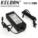 KELDAN 24X / 24XR для 16.8V 5A зарядное устройство 110 - 240V AC источник питания внезапный скорость зарядка (2 ~ 3 час )