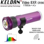 KELDAN Video 8XR CRI96 17000 люмен подводный свет перезаряжаемая батарея, с зарядным устройством . дайвинг свет 